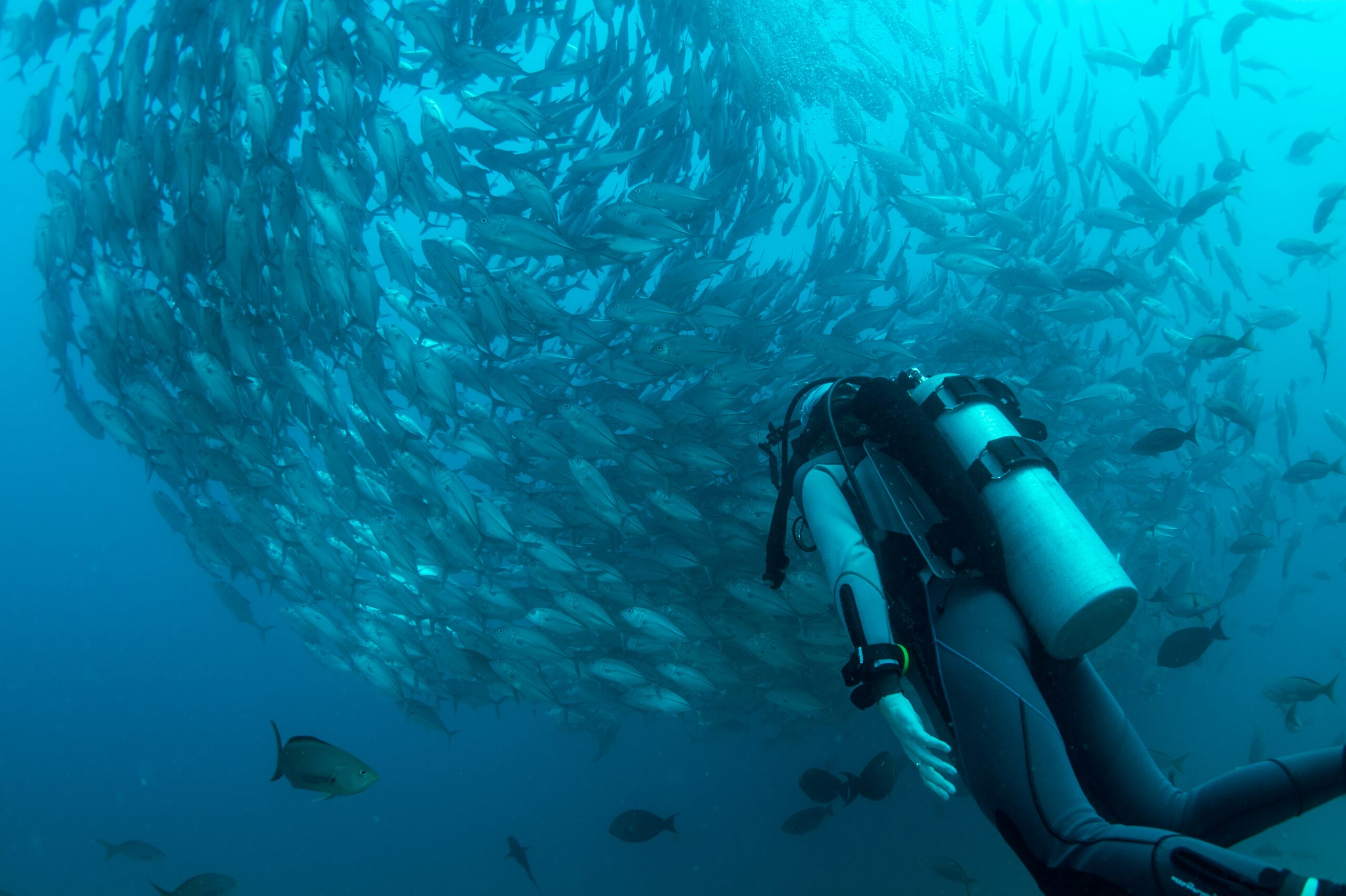 Always Hull Clean before Travel to Protect Florida’s East Coast Ecosystem