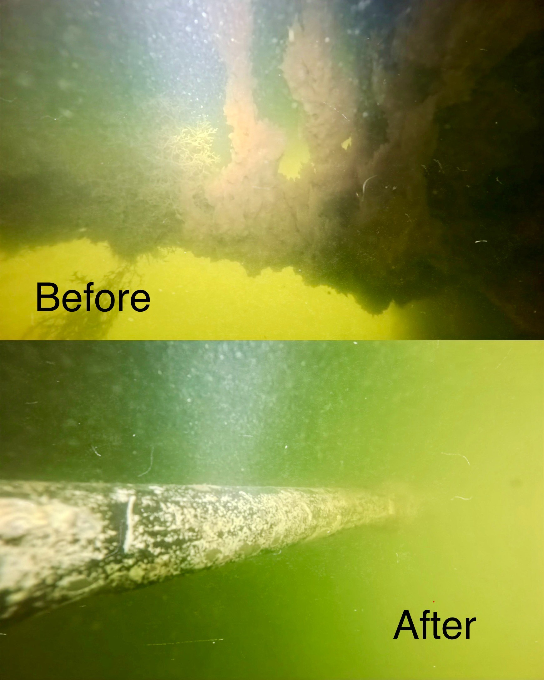Haven’t Cleaned Your Boat in Years?
