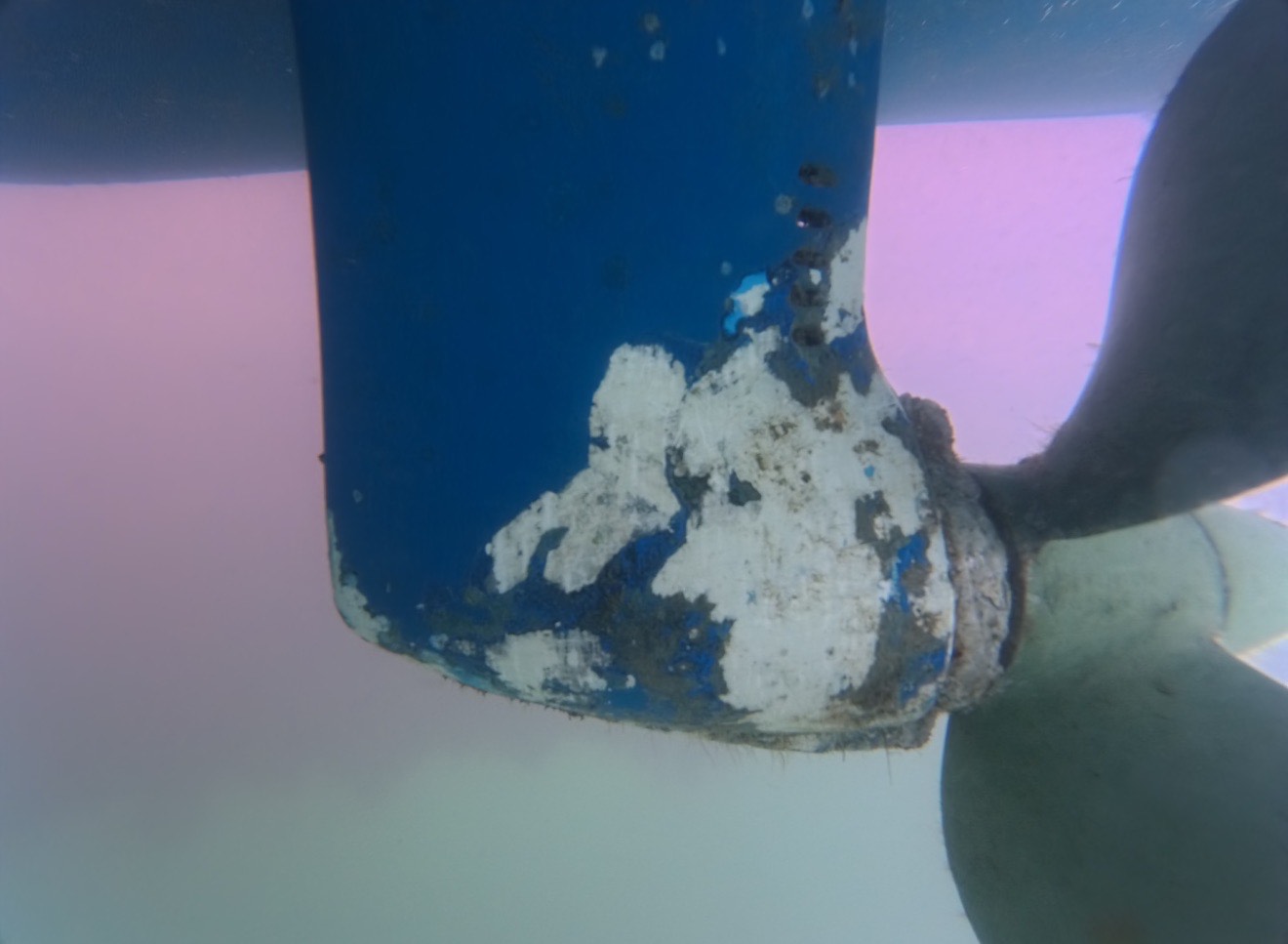 Why Every Boat Owner Should Schedule an Underwater Inspection After a Bottom Paint Job