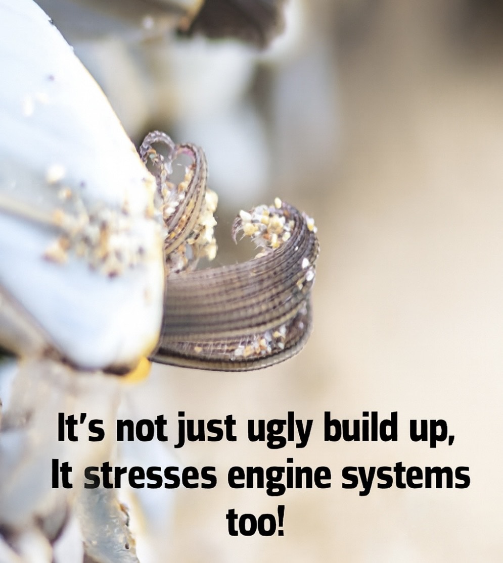 How Barnacle Buildup Quietly Overworks Your Boat’s Engine