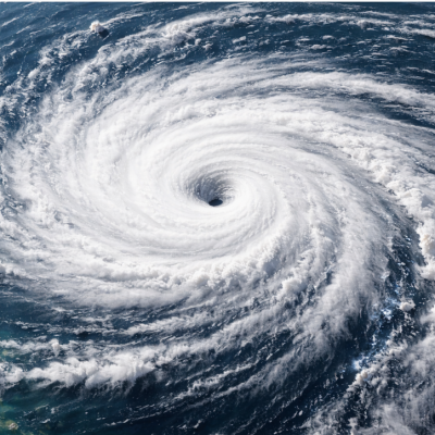 How Hurricanes Really Affect Barnacle Growth (And Why It Matters After the Storm)